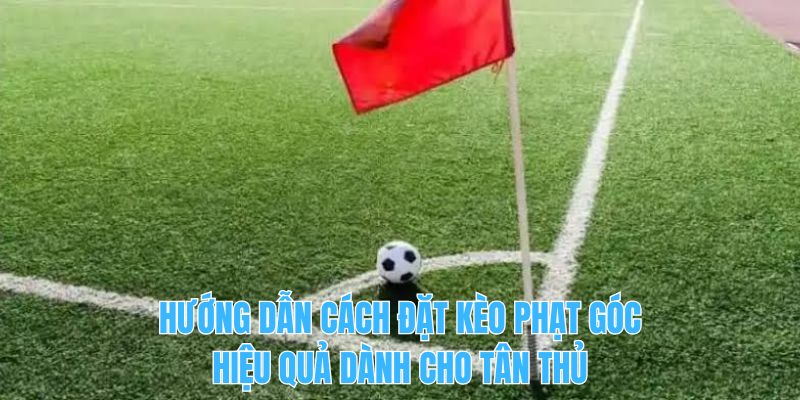 Hướng dẫn cách đặt kèo phạt góc hiệu quả dành cho tân thủ