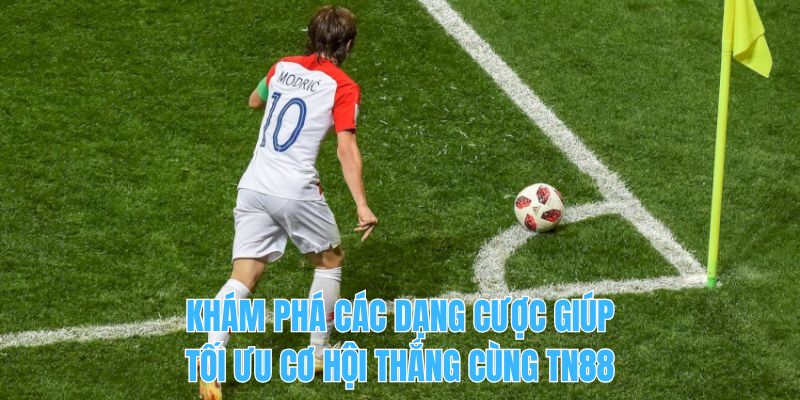 Khám phá các dạng cược giúp tối ưu cơ hội thắng cùng TN88